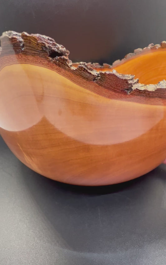 Hand turned Bradford Pear Bowl Live Edge Bowl with Blue center